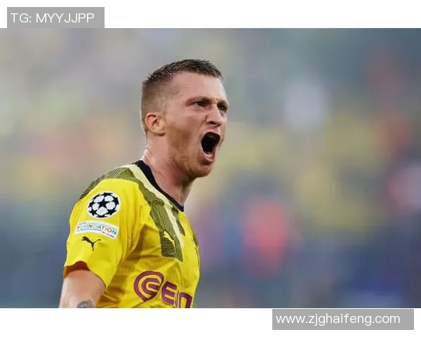 世界足球明星罗伊斯的传奇旅程与辉煌成就揭秘