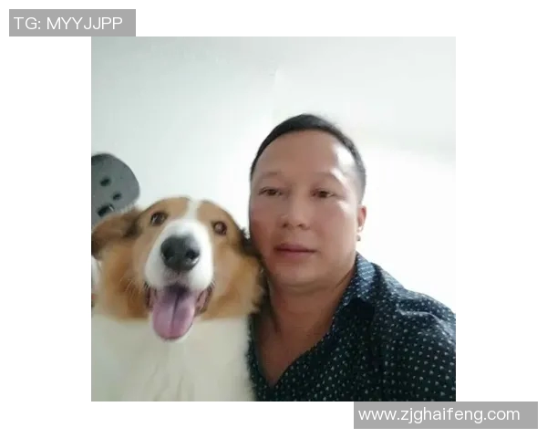 全面解析bf90vs比分网的实时数据与赛事动态,助你掌握最新体育资讯 全面解析bf90vs比分网的实时数据与赛事动态,助你掌握最新体育资讯