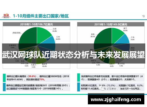 武汉网球队近期状态分析与未来发展展望